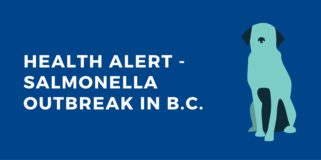 HEALTH ALERT – Salmonella Outbreak in B.C.